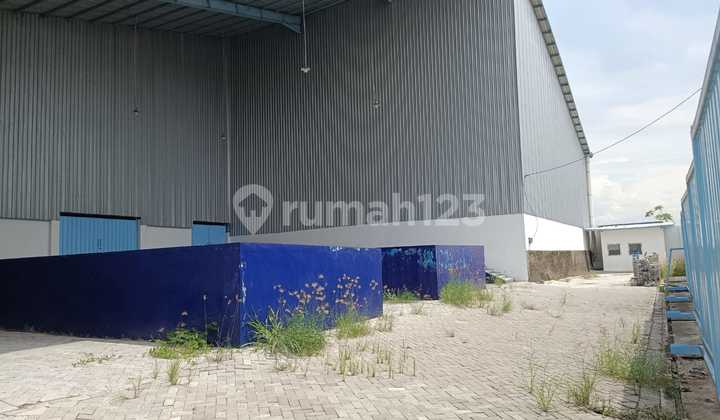 Gudang Baru Kawasan Pergudangan Romokalisari 4