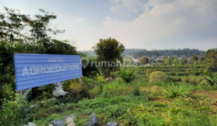 Dijual Tanah Siap Bangun Ds. Dalisodo, Jedong, Wagir, Malang 2