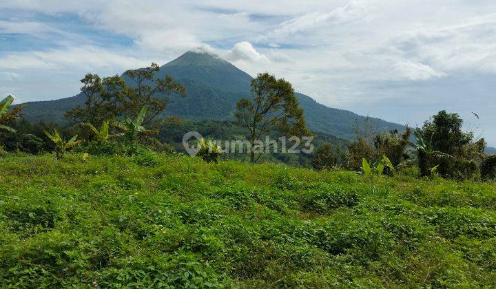 Dijual Tanah Villa di Prigen, Dekat Hutan Pinus, View Gunung Penanggungan, 650mDPL, Fekat Trawas, Tretes 2