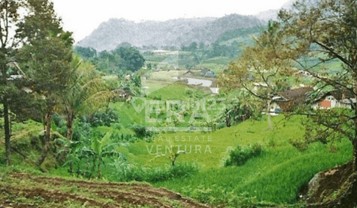 Dijual Lahan Tanah Dengan View Ciamik di Trawas Mojokerto 1