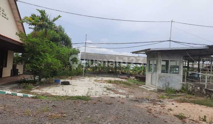 Dijual Tanah Kandang/Ternak Sapi di Desa Windurejo, Kutorejo, Mojokerto