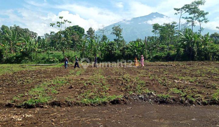 Tanah exclusive pinggir jalan raya di gondanglegi malang 2