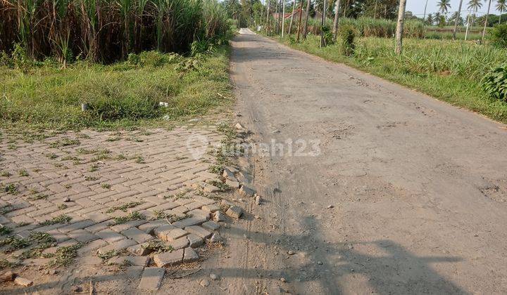 Tanah dijual sebelah perumahan elit di jalibar malang 2