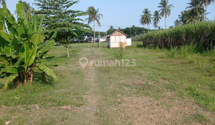 Tanah murah area pertokoan di sebelah pom bensin jalibar malang 3
