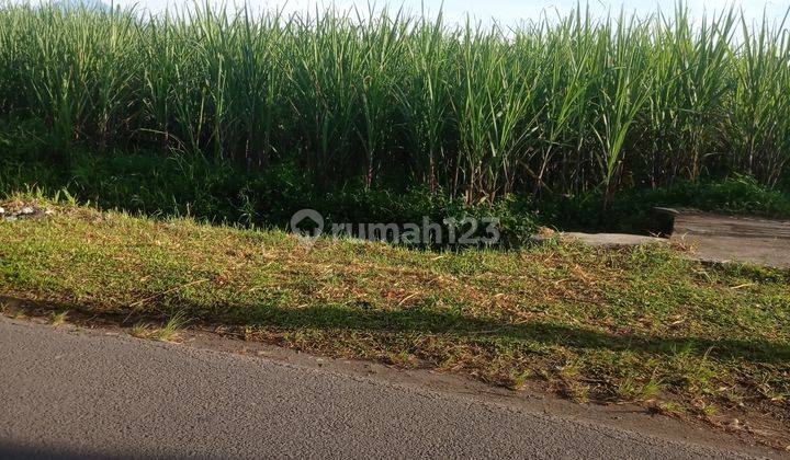 Tanah dijual di Malang sebelah pasar ngajum kabupaten malang 2