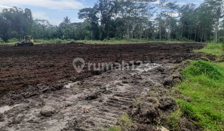 Tanah kavling di perkampungan sebelah wisata milkindo 8