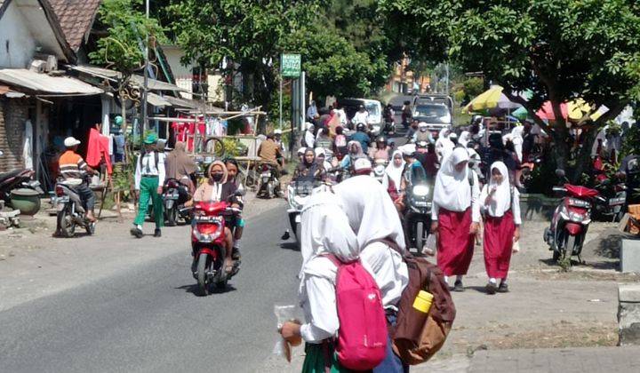 Tanah murah pinggir jalan raya sebelah SMPN 1 poncokusumo 2