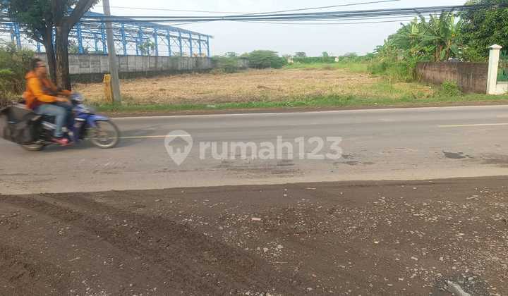 VG218 DIJUAL TANAH BESAR MENGANTI STRATEGIS NOL JALAN RAYA MURAH ISTIMEWA DI MENGANTI VG218 DIJUAL TANAH BESAR MENGANTI STRATEGIS NOL JALAN RAYA MURAH ISTIMEWA DI MENGANTI