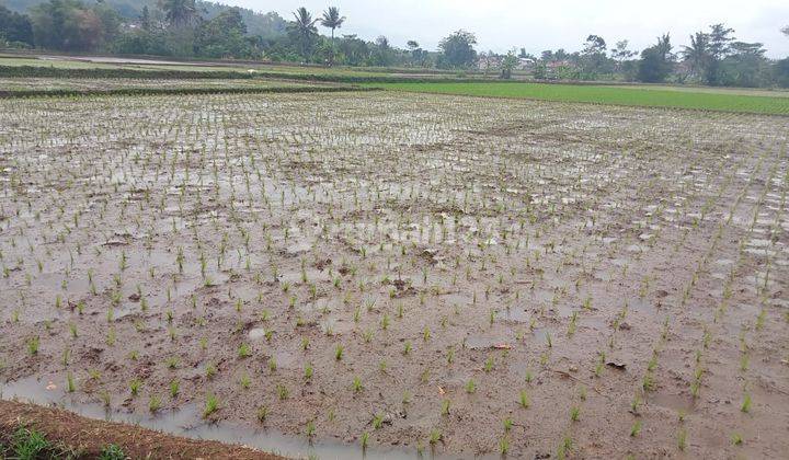 For Sale Tanah di Cilili Lokasi Strategis 2