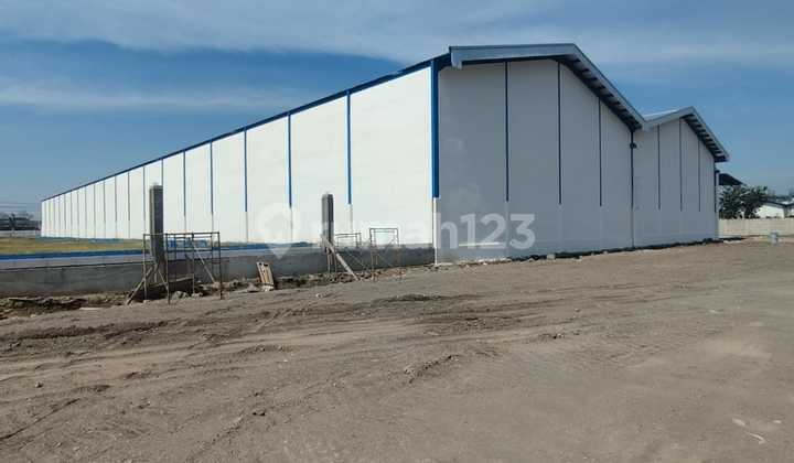Gudang Baru Bypass Krian Seberang Phokpand 11 Ha Cuma 6.5jt/m2 Dekat Surabaya Dan Tol