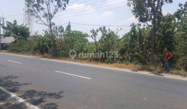 Tanah 0 Jln Raya Bubgah Gresik Sangat Luas Dan Besar 2