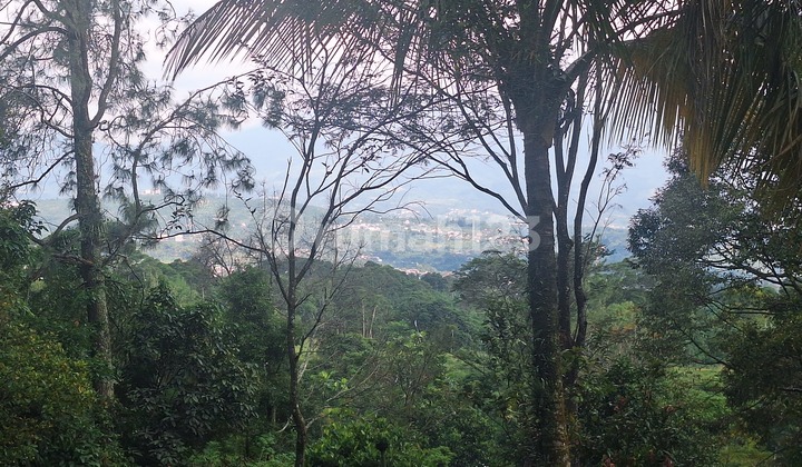 Land for Sale in Pasir Angin, Gunung Geuli, Sukaraja, Bogor Regency