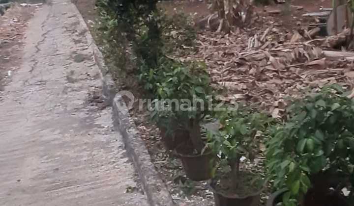 Tanah Dijual di Lokasi Strategis Jalan Raya Gandul Cinere Tanah Dijual di Lokasi Strategis Jalan Raya Gandul Cinere