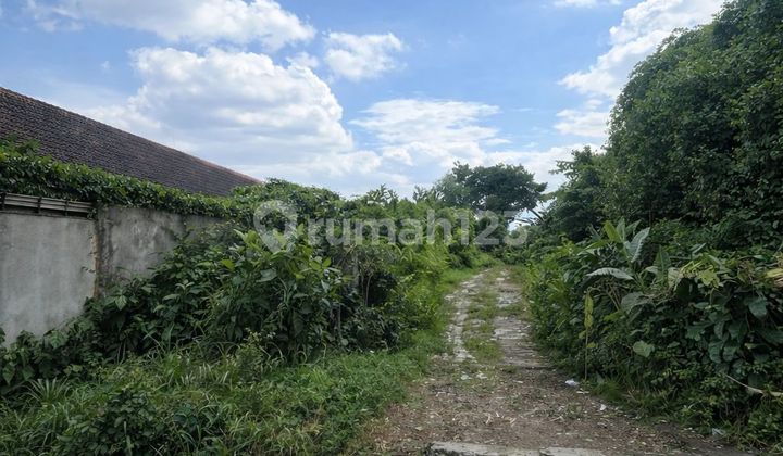 Dijual Cepat Tanah di Pejanten Barat Jakarta Selatan Dijual Cepat Tanah di Pejanten Barat Jakarta Selatan