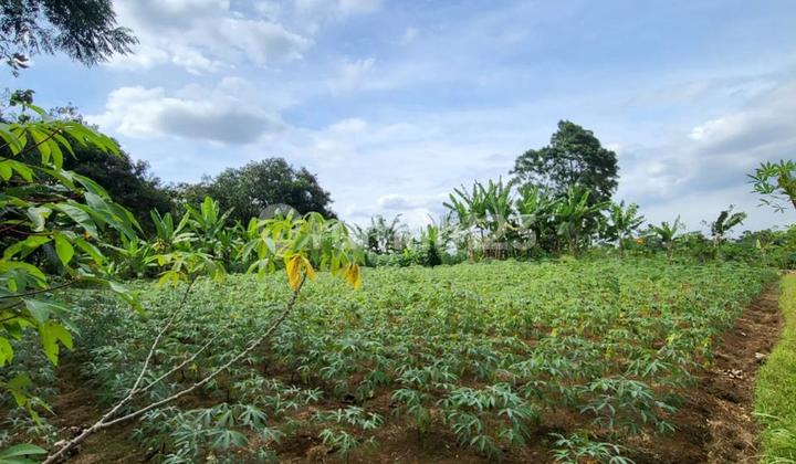 TANAH DIJUAL DIBAWAH NJOP DI RANCAMAYA KOTA BOGOR TANAH DIJUAL DIBAWAH NJOP DI RANCAMAYA KOTA BOGOR