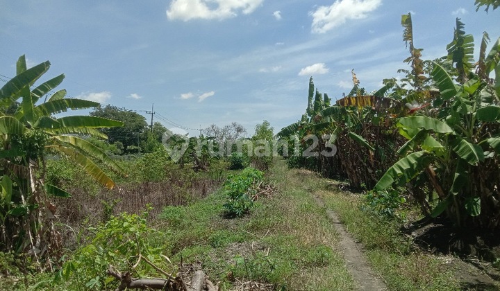 Tanah Strategis Lakarsantri - Sederet Citra Sentosa Raya