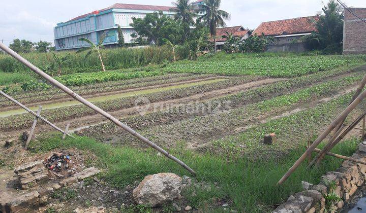 Tanah Cocok Untuk Bangun Mini Cluster atau Komersil di Pinggir Jalan Raya PIsangan Tambun Utara Bekasi

 1