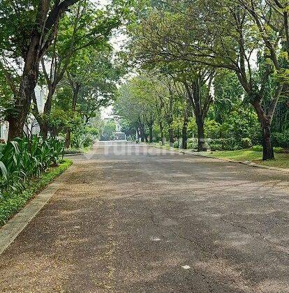 Rumah  di Cluster Acasia Summarecon Bekasi 5