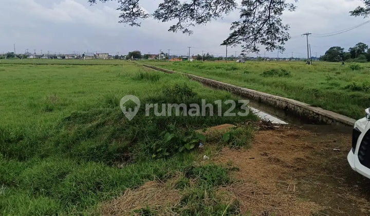 Tanah Sawah Di Desa Tegalsari Kabupaten Karawang Timur