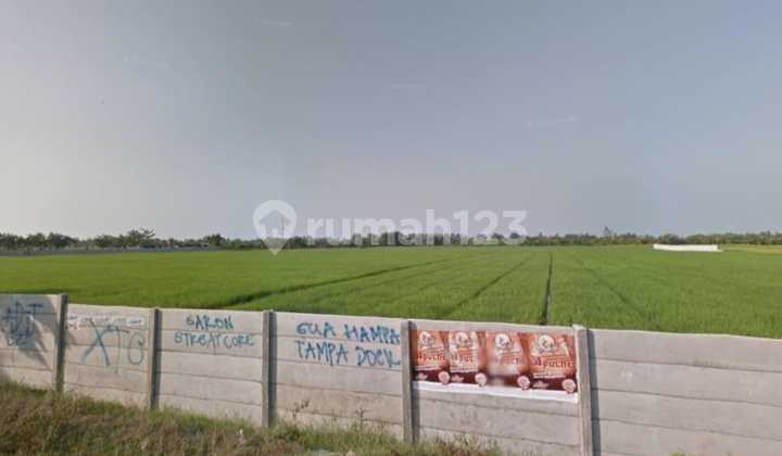 Tanah Dijual Di Jln Raya Cabangbungin Kabupaten Bekasi 2
