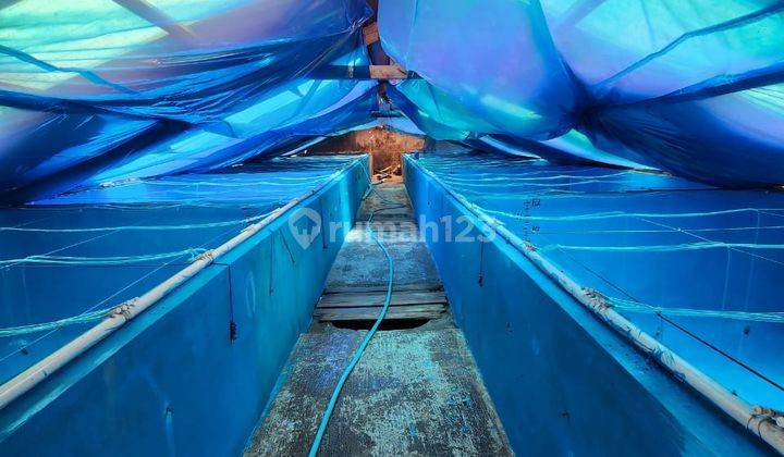 Rumah Usaha Pembibitan Kerapu di Pasir Putih, Bungatan, Situbondo 2