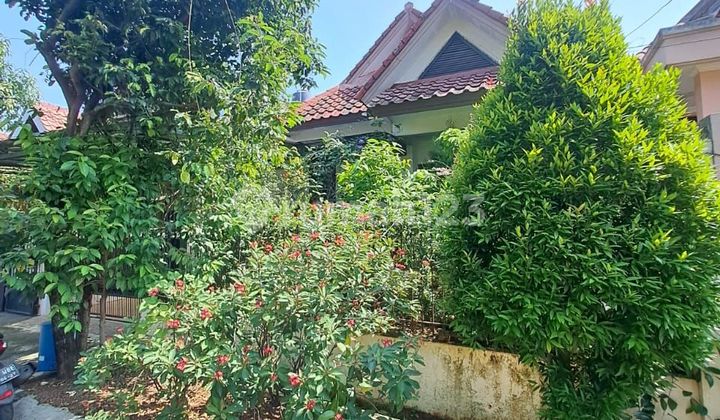 Rumah dalam kompleks, Jalan Lebar, posisi di jalan utama kpleks Rumah dalam kompleks, Jalan Lebar, posisi di jalan utama kpleks
