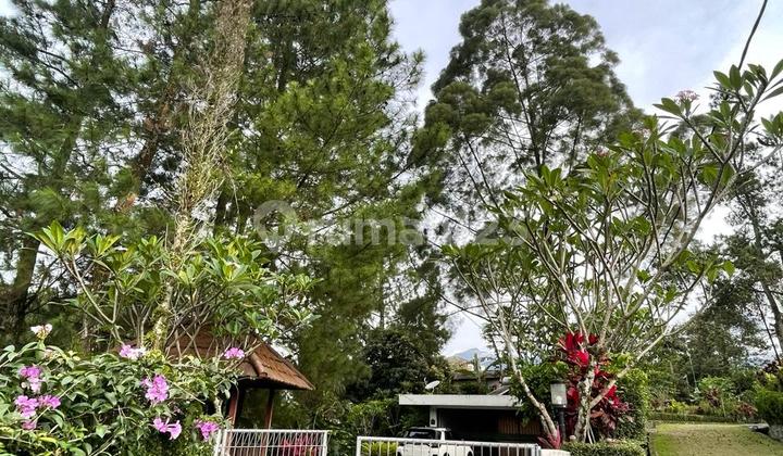 Villa Bagus Di Cisarua Furnished, Asri. Villa Bagus Di Cisarua Furnished, Asri.