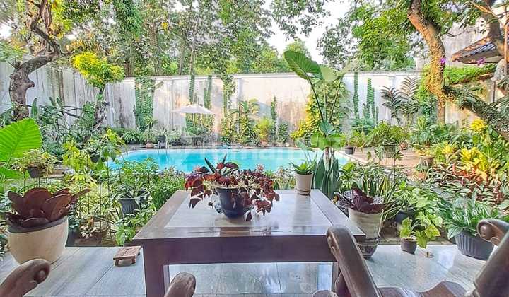 Rumah Nyaman Di Pejaten, Siap Huni, Dilengkapi Kolam Renang Rumah Nyaman Di Pejaten, Siap Huni, Dilengkapi Kolam Renang