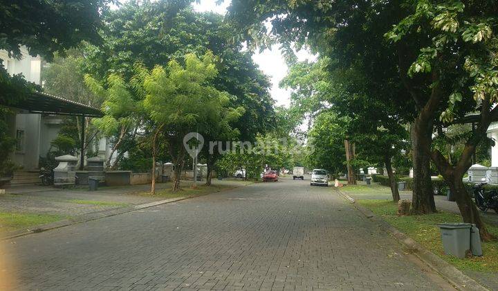 Sewa rumah mewah ada kolam renang di cluster De maja De Park BSD  2