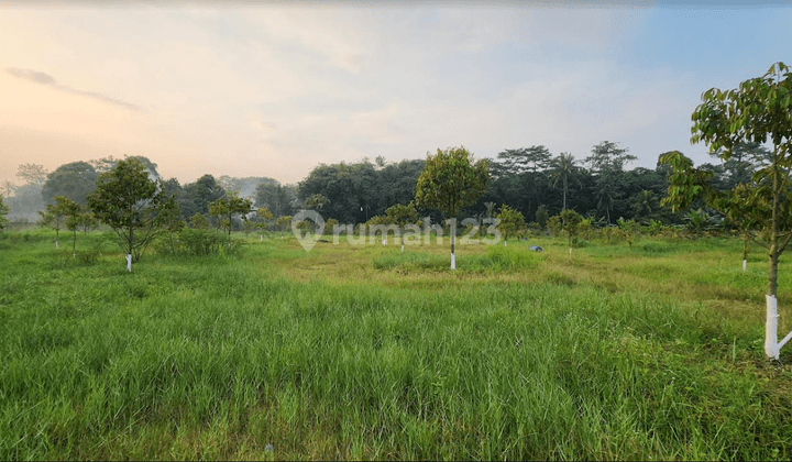 Tanah Gunung Sindur Cidokom Bogor SHM Ijin Industri dan  2