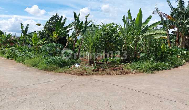 Dijual murah kavling tanah di Cisauk dekat Citra Garden Serpong Dijual murah kavling tanah di Cisauk dekat Citra Garden Serpong