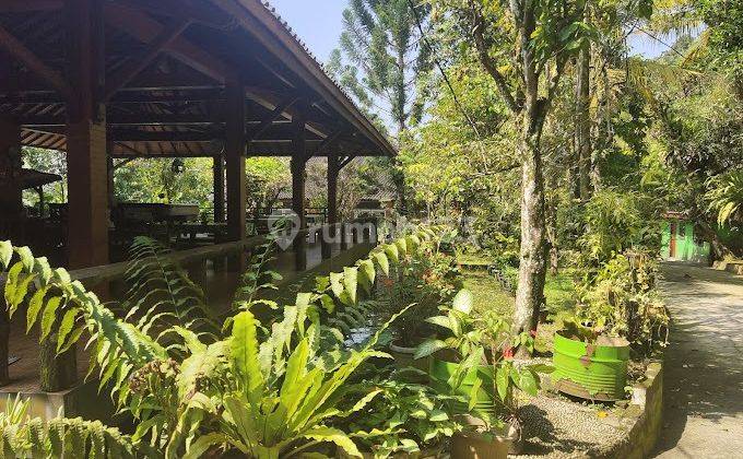 Dijual Hotel Gunung Salak Dan Resto di Taman Rekreasi Cimelati  2