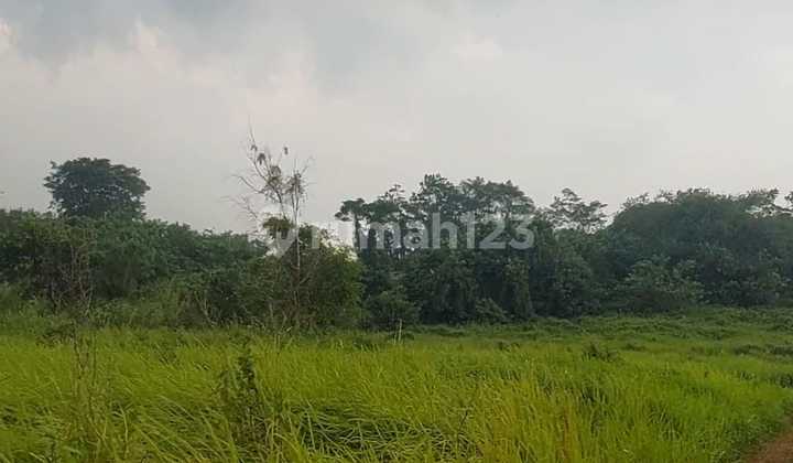 For Sale Large Land in Sukawana Serang Banten