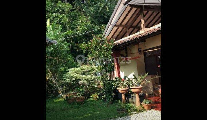Dijual Tanah Dibogor Ada Rumah Bagus Strategis Dipetir Dramaga Bogor  1