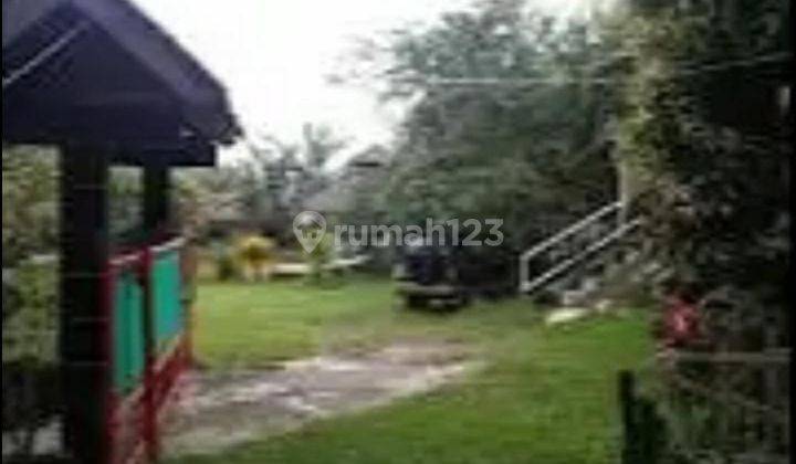 Dijual Tanah Dibogor Ada Rumah Bagus Strategis Dipetir Dramaga Bogor  3