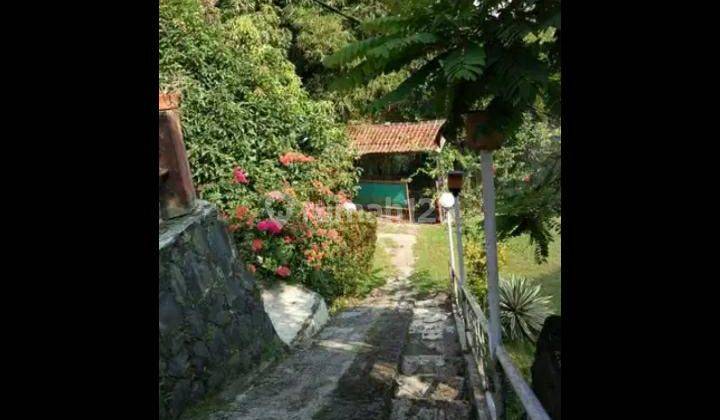 Dijual Tanah Dibogor Ada Rumah Bagus Strategis Dipetir Dramaga Bogor  7