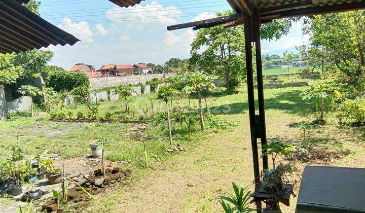 Jarang Ada Tanah di Mainroad Derwati Sangat Murah 12
