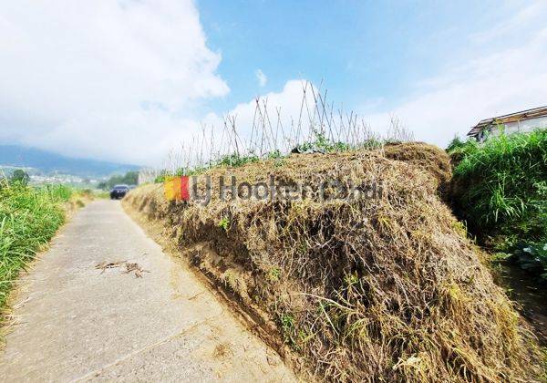  Kavling di Ngablak Kopeng Magelang 2