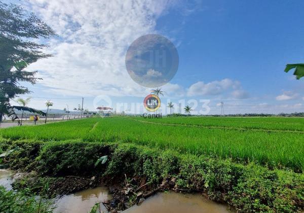 Lot in DS KARANG TENGAH TUNTANG SALATIGA, Central Java