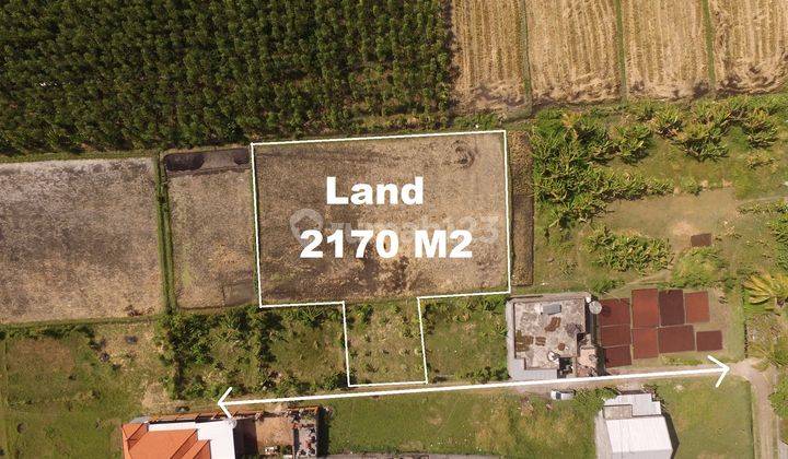 2,170 Sqm Prime Land 1