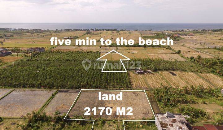 2,170 Sqm Prime Land 2