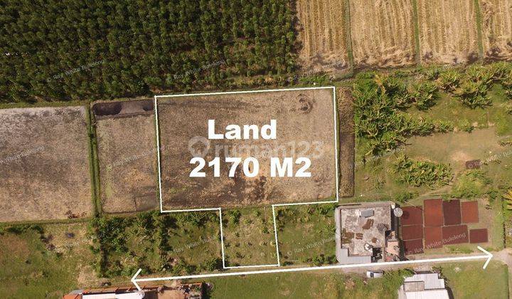 2,170 Sqm Prime Land For Sale 1