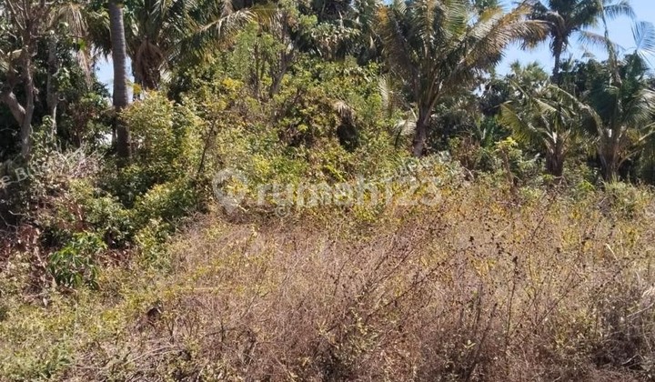 Investor's Dream - Lowest Priced Beachfront Land in Karangasem Investor's Dream - Lowest Priced Beachfront Land in Karangasem