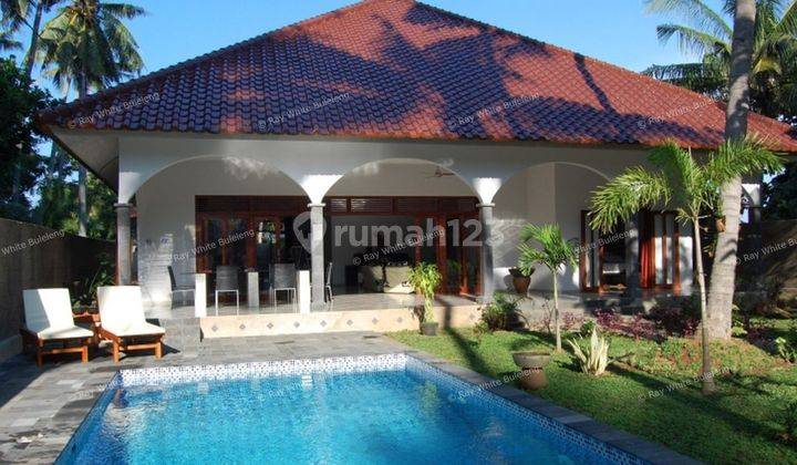 GREAT LUXURY VILLA IN CENTRAL LOVINA 1