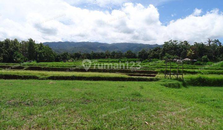 Land For Sale with Stunning View 1