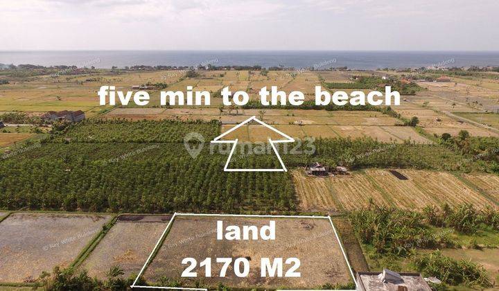 2,170 Sqm Prime Land For Sale 2