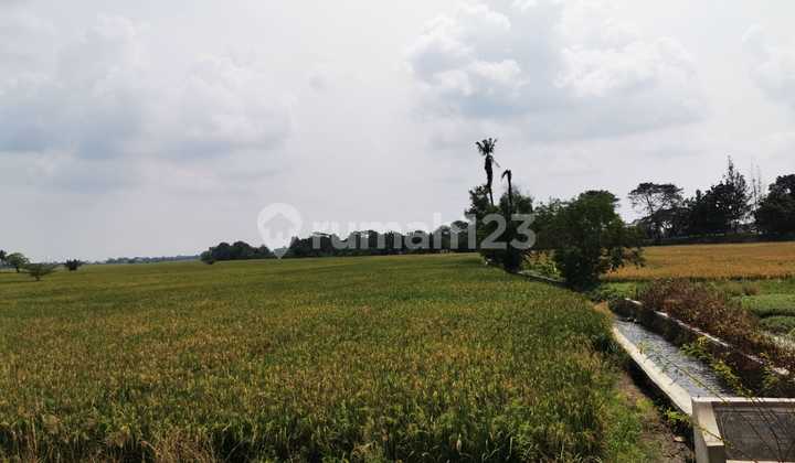 Di Jual Lahan Luas Siap Bangun Di Karawang