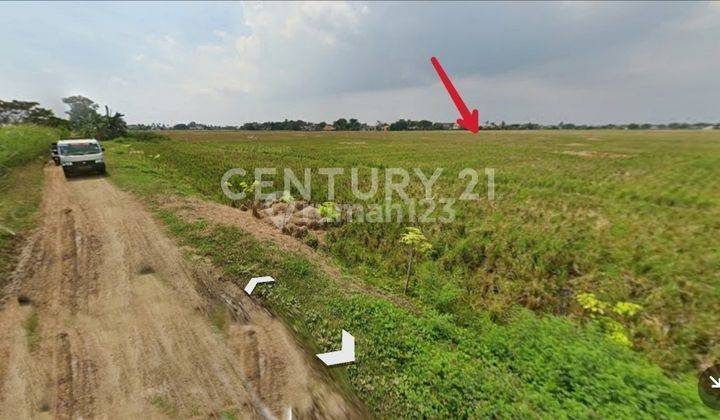 Tanah Sawah Sukatenang Sukaringin Bekasi Utara Murah Meriah 2