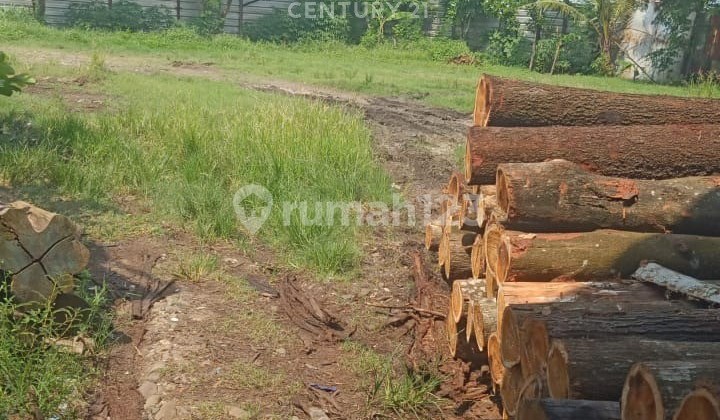 Lahan Sawah dan Pabrik Kayu Mesin di Kabupaten Bekasi Jawa Lahan Sawah dan Pabrik Kayu Mesin di Kabupaten Bekasi Jawa