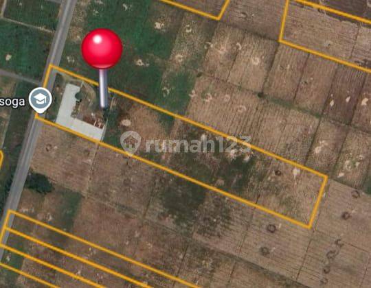 Dijual Tanah + Kios + Pabrik Kayu, Utan Soga, Sukakerta, Sukawangi, Bekasi 2